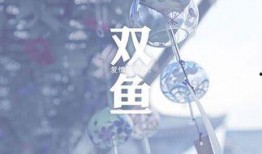 双鱼座女孩爆料视频播放,爆款视频背后的故事